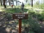 Hiking North Rim- Widforss Trail (15).jpg (134kb)